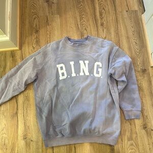 Anine bing sweatshirt